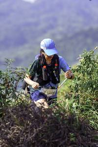 BIB: 420
                            <button type="button" onclick="openModal(24766634)" class="btn btn-primary btn-sm float-right btn-popup" data-toggle="modal" data-target=".modal-high-quality">
                        <i class="fas fa-shopping-cart"></i> Add to Cart
                    </button>
                                            <button type="button" onclick="isThisMe(24766634, true)" class="btn btn-success btn-sm float-right btn-popup btn-isme hidden" data-toggle="tooltip" data-placement="bottom" title="นี่คือรูปของคุณใช่ไหม คลิกที่นี่เพื่อเอาเข้าอัลบั้ม">
                        <i class="fas fa-plus"></i> Add to album
                    </button>
                    <button type="button" onclick="isThisMe(24766634, false)" class="btn btn-warning btn-sm float-right btn-popup btn-isnotme hidden">
                        <i class="fas fa-ban"></i> Remove from album
                    </button>